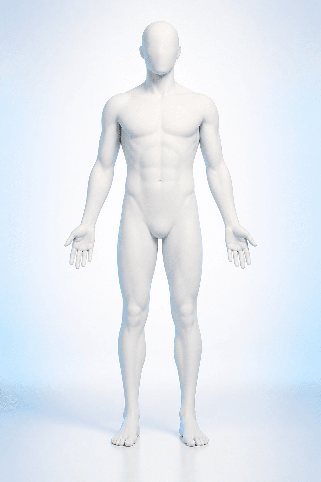 Front-facing clinical body illustration for selecting an Orthopaedic care area